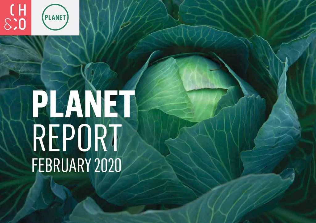 Planet Report 2020